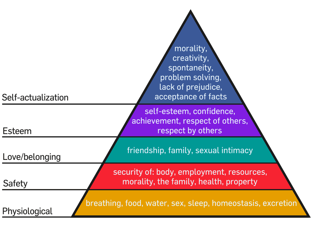 Author joanne reed
this is your quest
self actualization
maslows hierachy of needs