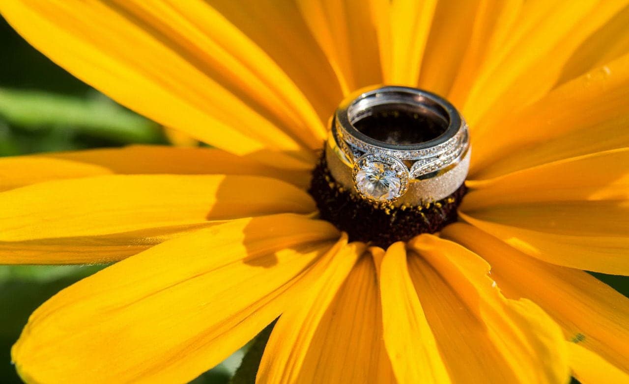 author joanne reed this is your quest do you want to talk about marriage
