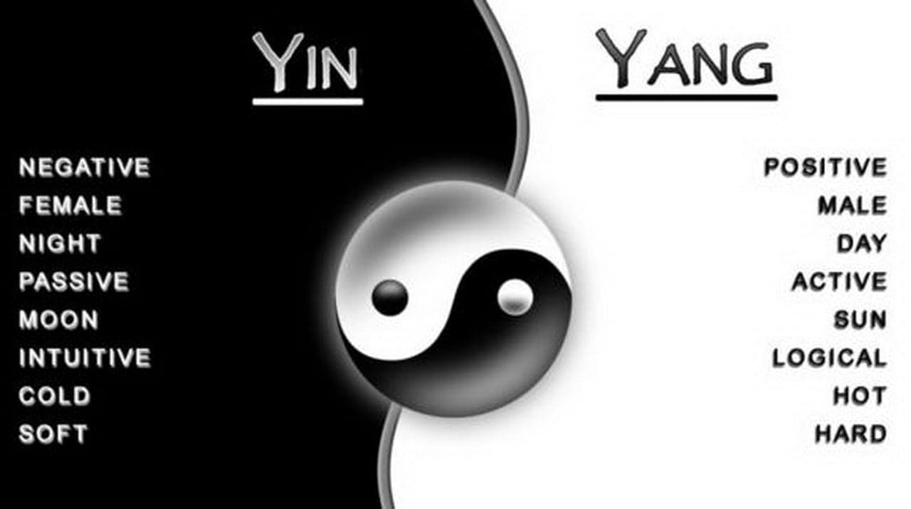what does yin and yang mean