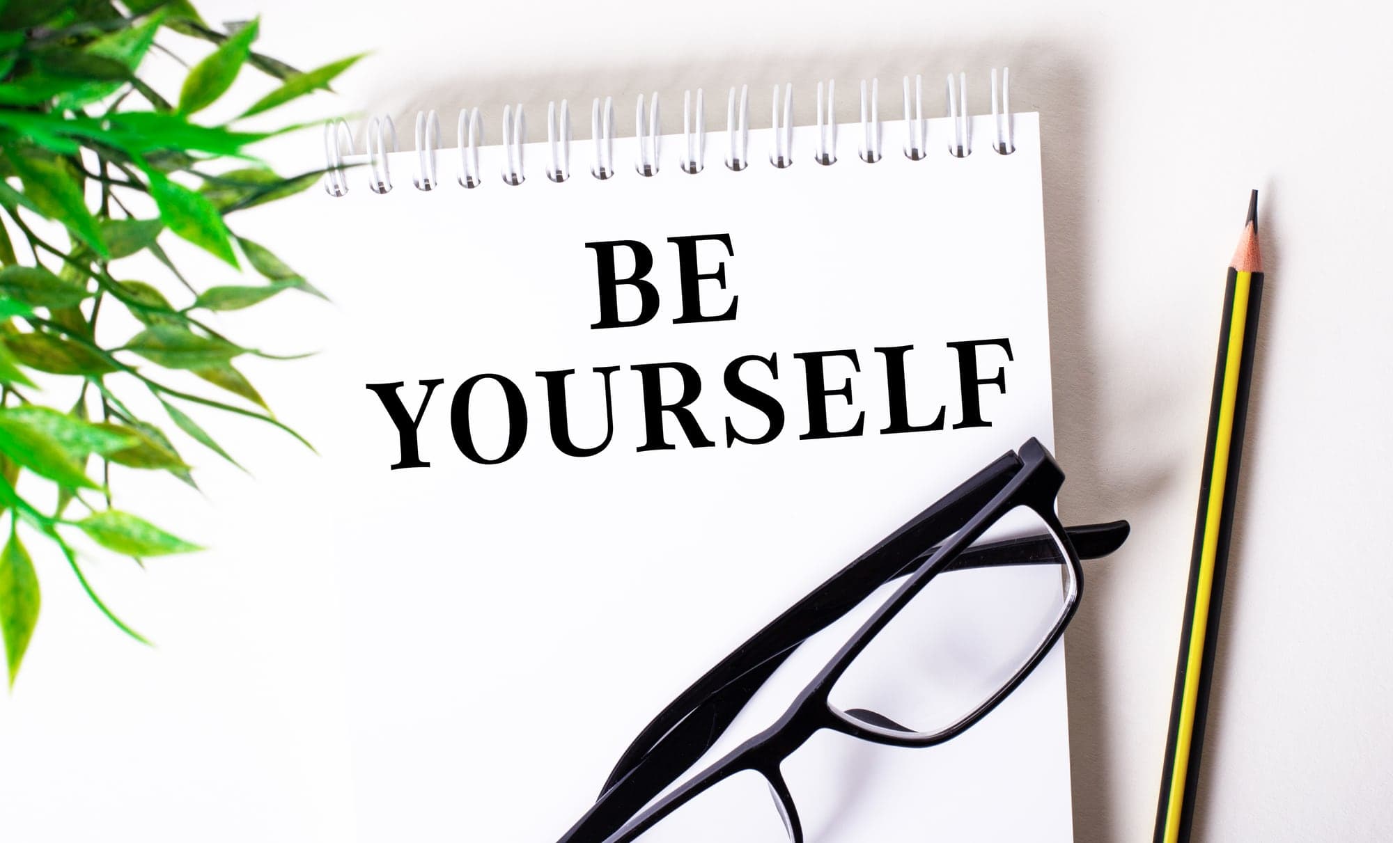 This Is Your Quest - Author Joanne Reed