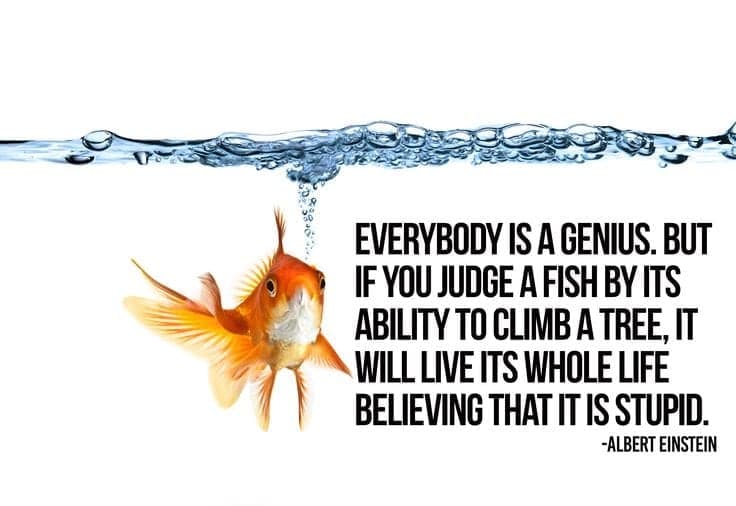 Goldfish underwater next to Einstein quote about judging a fish by its ability to climb a tree.